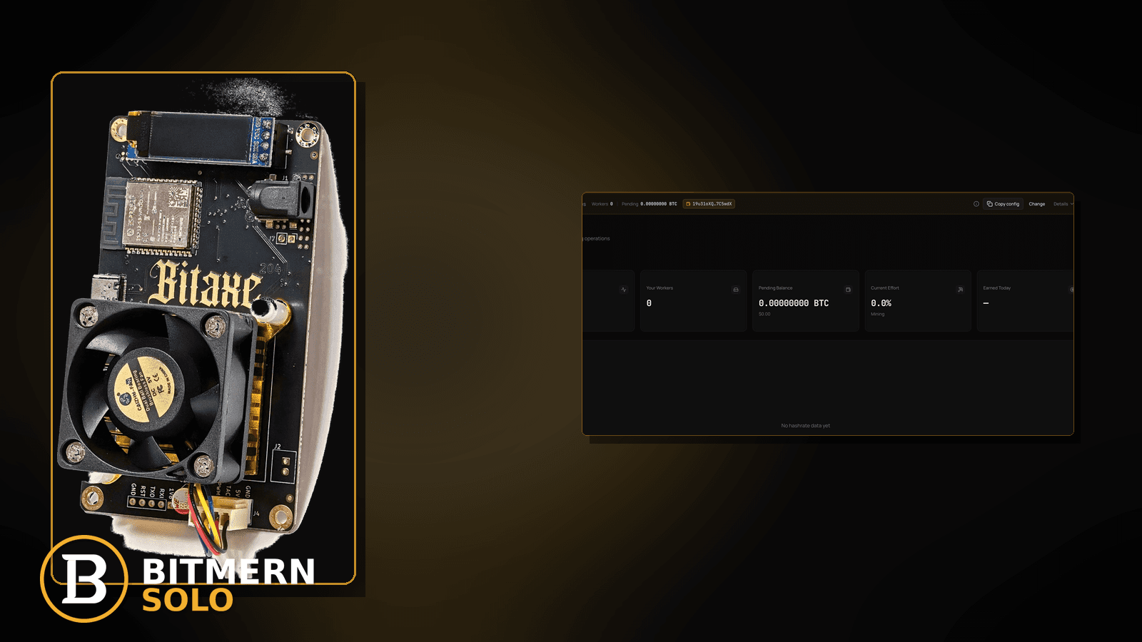 DNS Resolve Failures Blocking Bitmern Solo